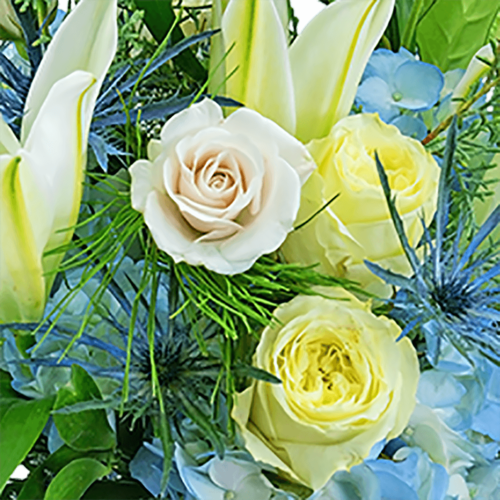 Fresh cut flowers